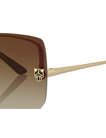 Cartier CT0466S 001