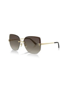 Cartier CT0466S 001