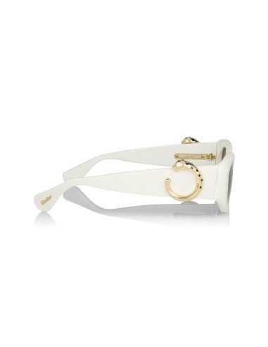 Cartier CT0466S 001