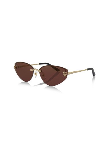 Cartier CT0466S 001