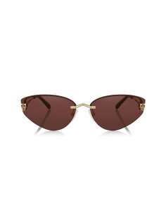 Cartier CT0466S 001 2