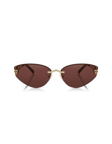 Cartier CT0466S 001