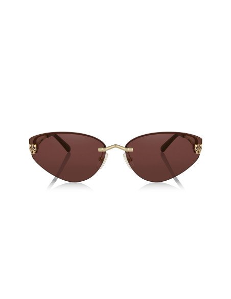 Cartier CT0466S 001