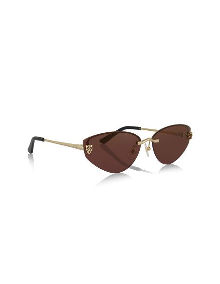 Cartier CT0466S 001