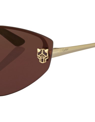 Cartier CT0466S 001