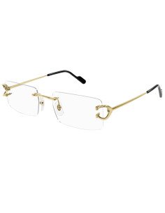 Cartier CT0466S 001