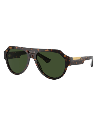 Dolce & Gabbana DG4466 501/87