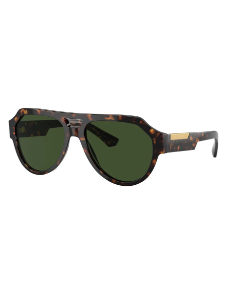 Dolce & Gabbana DG4466 501/87