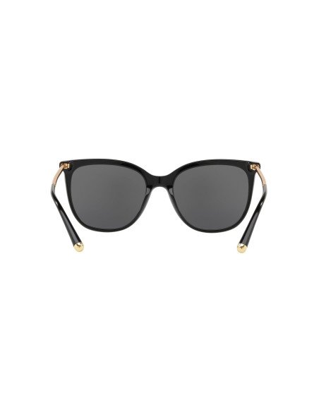 Dolce & Gabbana DG4333 001