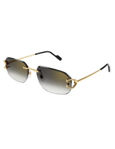 Cartier CT0468S 001