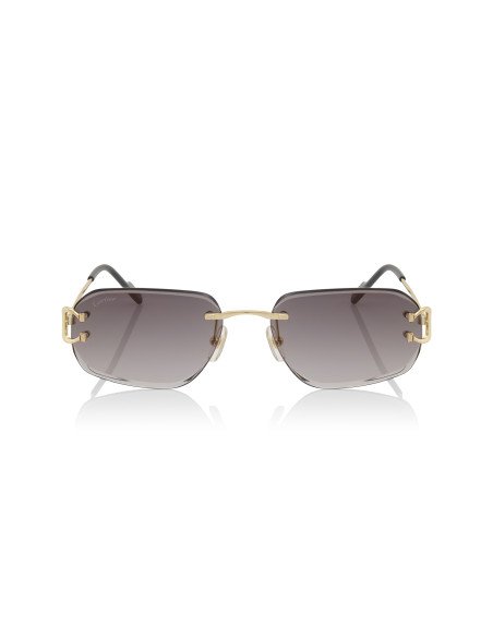 Cartier CT0468S 001