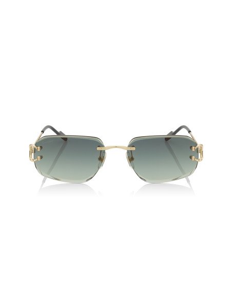 Cartier CT0468S 003