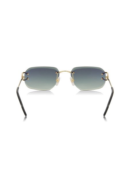 Cartier CT0468S 003