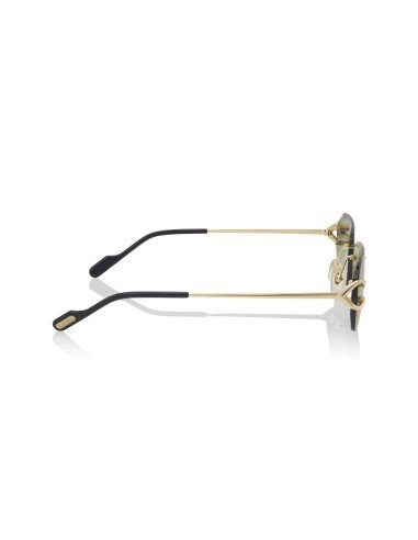 Cartier CT0468S 003