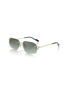 Cartier CT0468S 003