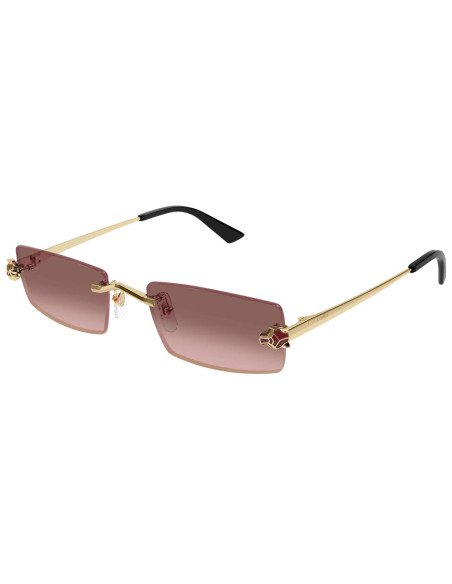 Cartier CT0598S 004