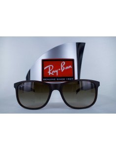 Ray Ban Rb4202 607313 Andy Cafe degradado Icon Original | Sunnies.uno 2
